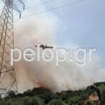 Πάτρα - ΕΚΤΑΚΤΟ: Φωτιά στην περιμετρική στο ύψος των Μποζαϊτικων - Στην μάχη της κατάσβεσης και εναέρια μέσα ΦΩΤΟ