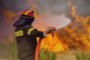 Βόλος: Φωτιά στο Περίβλεπτο - Ισχυρές δυνάμεις της Πυροσβεστικής στο σημείο