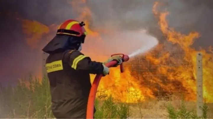 Βόλος: Φωτιά στο Περίβλεπτο - Ισχυρές δυνάμεις της Πυροσβεστικής στο σημείο