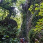 Νεμούτα: Ένας "θησαυρός" φυσικής ομορφιάς - Οι καλά κρυμμένοι καταρράκτες της Πελοποννήσου