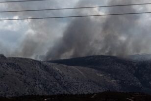 Καλύτερη η εικόνα της φωτιάς στην Αργολίδα - Σε ύφεση η πυρκαγιά στη Χαλκίδα
