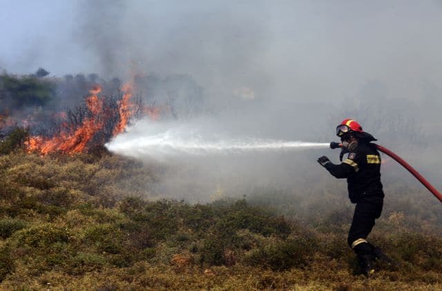 Αγροκτηνοτροφικός Σύλλογος Ερυμάνθου για τις ζημιές από τις πυρκαγιές