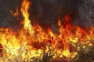 Κόρινθος: Δύσκολη νύχτα στο Καλέντζι - Οι φλόγες κατακαίνε αγροτική έκταση