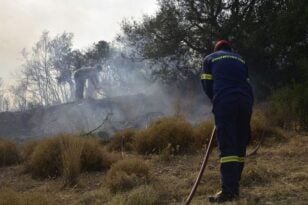 Πάτρα: Κατασβέστηκε η φωτιά στον καταυλισμό του Ρηγανόκαμπου