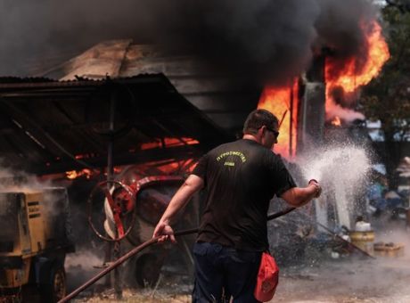 Συνελήφθη μελισσοκόμος για την πυρκαγιά στη Σταμάτα