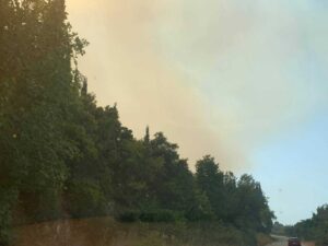 Φωτιά σε δασική έκταση στο Θύριο Βόνιτσας - Επιχειρεί το Beriev-200 ΦΩΤΟ και BINTEO - ΝΕΟΤΕΡΑ