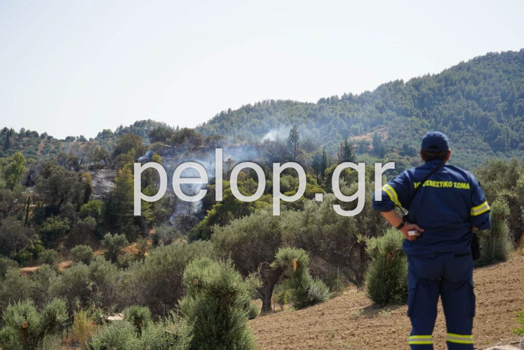 Ζήρια Αχαΐας: Οριοθετήθηκε η φωτιά - Υπεράνθρωπες οι προσπάθειες των πυροσβεστών - ΦΩΤΟ