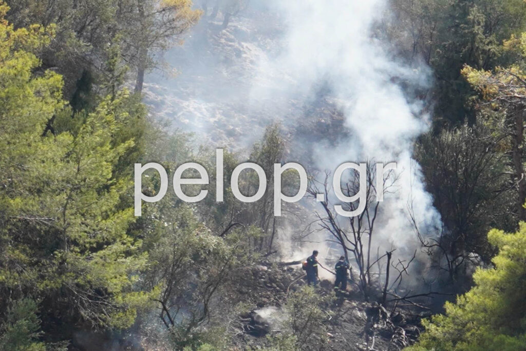 Μάχη με τις φλόγες στη Ζήρια Αχαΐας - Επιχειρεί και το ρωσικό Beriev-200 από αέρος - ΦΩΤΟ