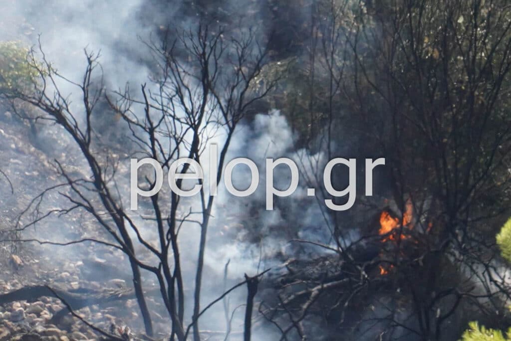 Μάχη με τις φλόγες στη Ζήρια Αχαΐας - Επιχειρεί και το ρωσικό Beriev-200 από αέρος - ΦΩΤΟ