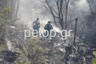 Ζήρια Αχαΐας: Οριοθετήθηκε η φωτιά - Υπεράνθρωπες οι προσπάθειες των πυροσβεστών - ΦΩΤΟ