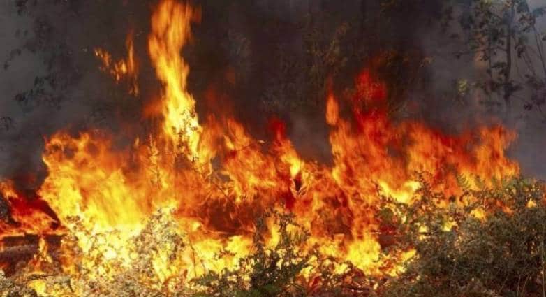 Κόρινθος: Δύσκολη νύχτα στο Καλέντζι - Οι φλόγες κατακαίνε αγροτική έκταση