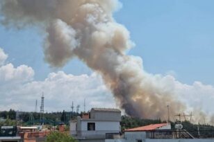Θεσσαλονίκη: Φωτιά στο δάσος του Σέιχ Σου - ΒΙΝΤΕΟ