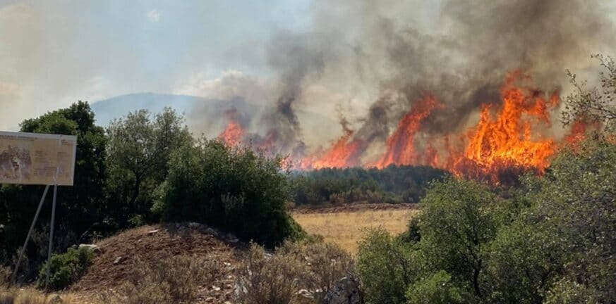 Ναύπλιο: Φωτιά σε δασική περιοχή με ισχυρές πυροσβεστικές δυνάμεις στο σημείο