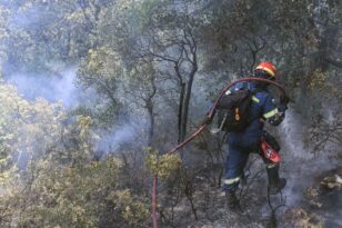 Πολιτική Προστασία: Οι περιοχές με πολύ αυξημένο κίνδυνο πυρκαγιάς για το Σάββατο