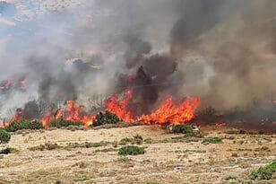 Πάτρα: Φωτιά στην Εγλυκάδα