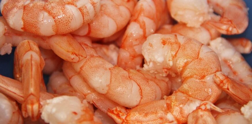 ΕΦΕΤ: Ακατάλληλες για κατανάλωση κατεψυγμένες γαρίδες