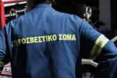 Αμφιλοχία: Ηλεκτροπληξία για πυροσβέστη την ώρα της μάχης με τις φλόγες