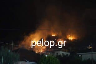 Αιγιάλεια: Φωτιά στο Σελινούντα - Μια ανάσα από τα σπίτια οι φλόγες - Ισχυρές δυνάμεις της Πυροσβεστικής - ΦΩΤΟ - ΝΕΟΤΕΡΑ