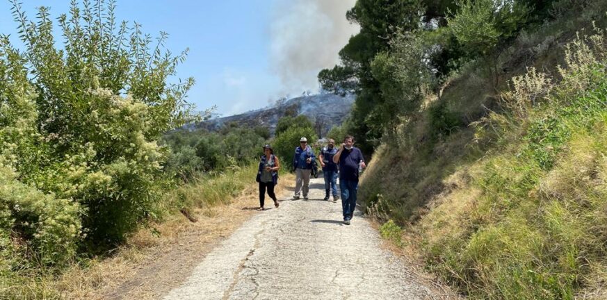 Πάτρα - Φωτιά: Λεωφορείο μεταφέρει κατοίκους των περιοχών που κινδυνεύουν