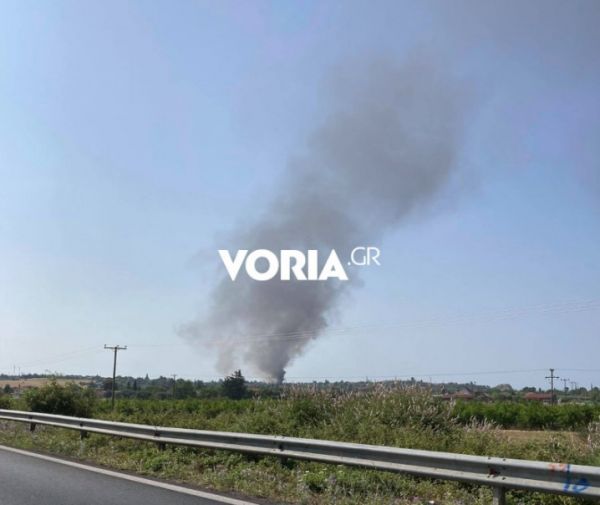 Χαλκιδική: Φωτιά στην Βεργιά έκαψε ένα σπίτι ΦΩΤΟ