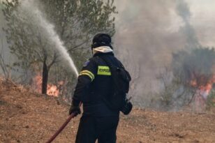 Ηλεία: Φωτιά από κολόνα της ΔΕΗ ξέσπασε στη Μανωλάδα