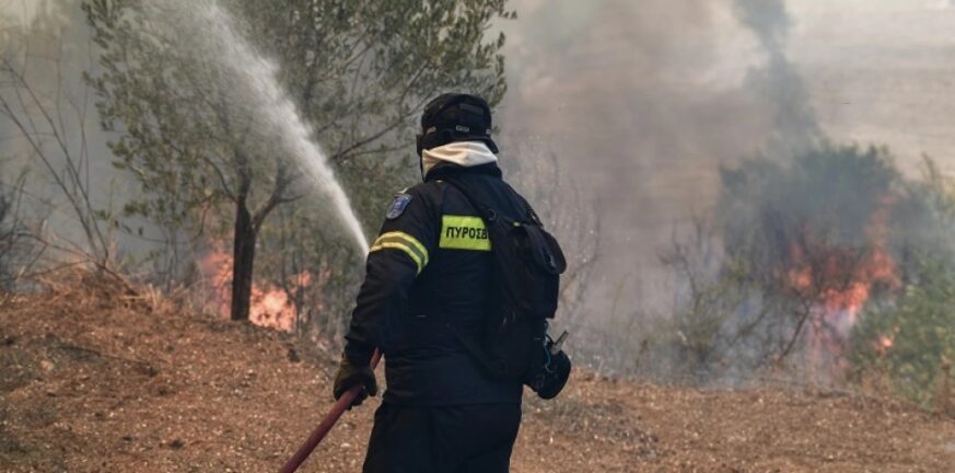 Πυρκαγιά σε αγροτοδασική περιοχή στη Ρόδο - Ισχυρή δύναμη της πυροσβεστικής στο σημείο