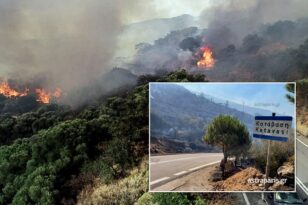 Φωτιά στη Χίο: Εκκενώθηκαν τρεις οικισμοί - Οι φλόγες απείλησαν σπίτια - ΒΙΝΤΕΟ