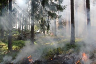 Αχαΐα και Ηλεία: Πολύ υψηλός κίνδυνος πυρκαγιάς και την Τετάρτη 28 Ιουλίου 2021