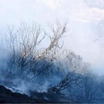 Αιγιάλεια: Μαίνεται η πυρκαγιά στο Κάτω Μαυρίκι – Επί τόπου εναέριες ενισχύσεις από Ελευσίνα και Τρίπολη- ΦΩΤΟ-ΝΕΟΤΕΡΑ