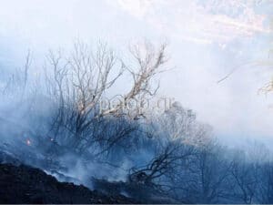 Αιγιάλεια: Μάχη με τις φλόγες στο Κάτω Μαυρίκι - Εναέριες ενισχύσεις από Ελευσίνα και Τρίπολη- ΦΩΤΟ-ΝΕΟΤΕΡΑ