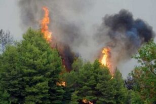 Πυροσβεστική: 53 δασικές πυρκαγιές σε 24 ώρες