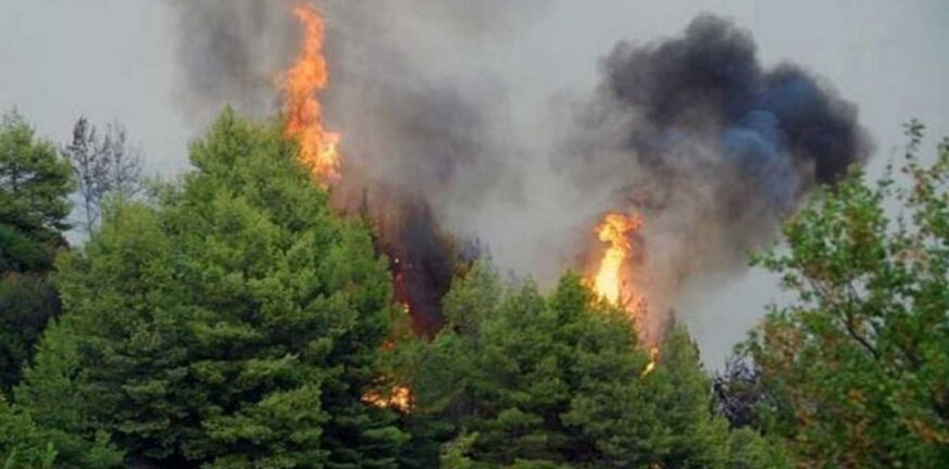 Πυρκαγιές: Τέσσερα πύρινα μέτωπα σε Ρόδο, Αγρίνιο, Σουφλί και Φάρσαλα 