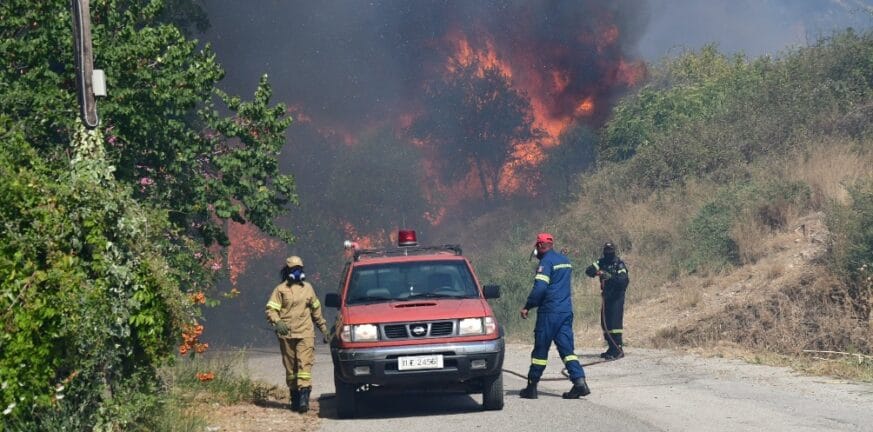 Σαράντα οκτώ δασικές πυρκαγιές εκδηλώθηκαν το τελευταίο 24ωρο - Επιχειρούν ακόμη στη Δροσιά Τριταίας