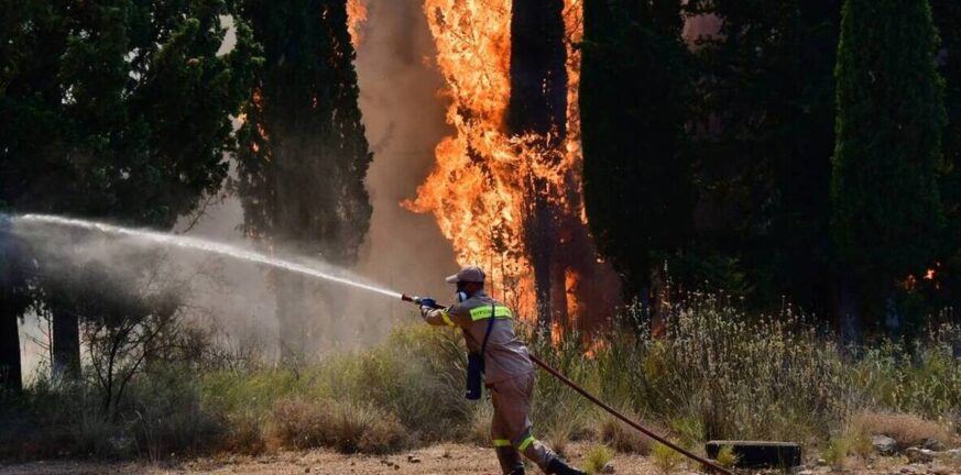 Βόνιτσα: Συνεχίζεται η μάχη με την πυρκαγιά – Ισχυρές δυνάμεις της Πυροσβεστικής και από την Πάτρα