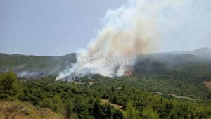 Αχαΐα: Εκκενώθηκε το χωριό Σκιαδά - Προς Πτέρη το μέτωπο - Ανεξέλεγκτη η φωτιά στη Δροσιά - ΦΩΤΟ και ΒΙΝΤΕΟ