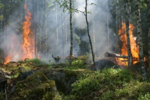 Υψηλός κίνδυνος πυρκαγιάς σήμερα σε Αχαΐα και Ηλεία