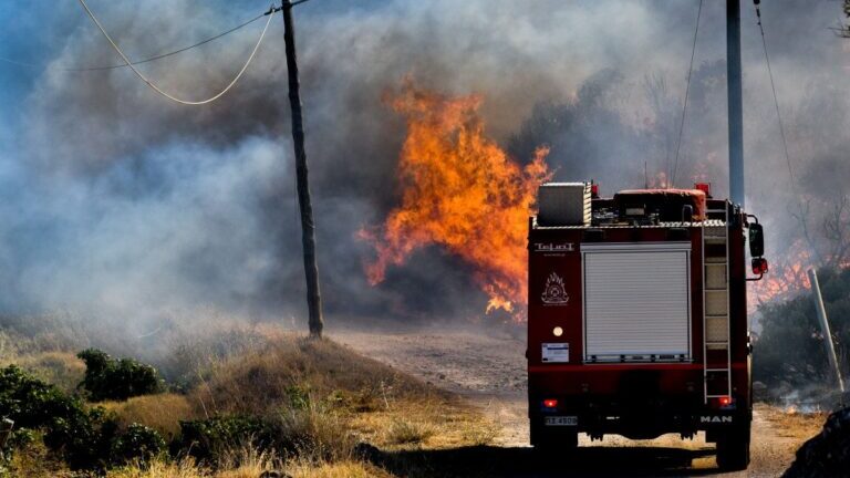 Φωτιά στον Έβρο: Ανεξέλεγκτο το μέτωπο, συνεχίζεται η μάχη με τις φλόγες ΦΩΤΟ & ΒΙΝΤΕΟ