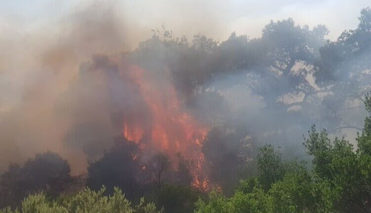 Μεγάλη φωτιά στο Παραδείσι Αιτωλοακαρνανίας - Εκκενώθηκαν προληπτικά δύο οικισμοί - BINTEO