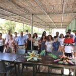 κατασκηνώσεων