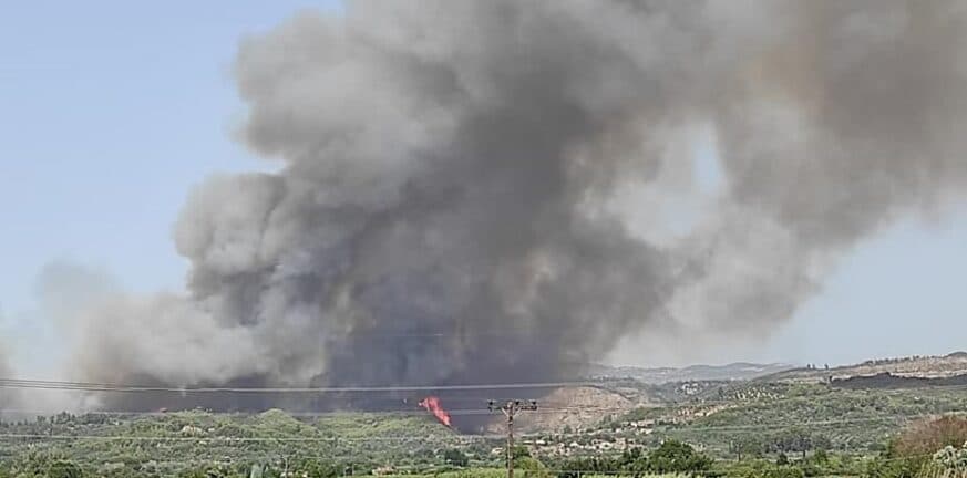 Φωτιά σε δασική έκταση στην Αστροβίτσα Αιτωλοακαρνανίας Φωτιά σε δασική έκταση στην Αστροβίτσα Αιτωλοακαρνανίας