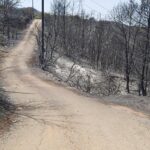 Κατσιφάρας: Οι πολίτες ζητούν να μάθουν την αλήθεια για τη πιο καταστροφική πυρκαγιά στην Αχαΐα