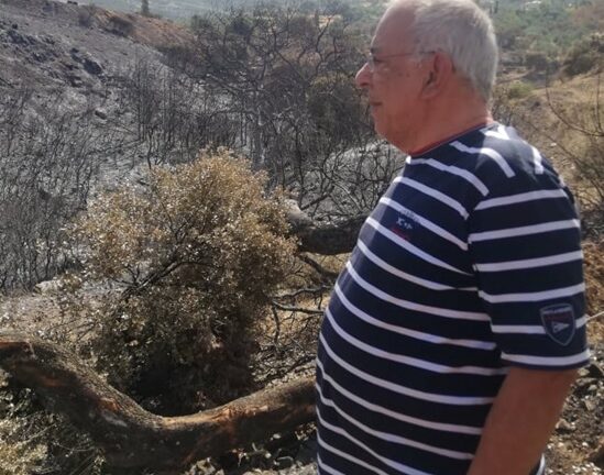 Νίκος Παπαδημάτος για φωτιά σε Νέο Σούλι: «Προέχει να σταθούμε όλοι στο πλευρό των κατοίκων»