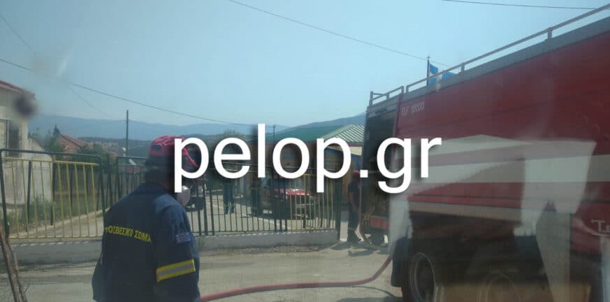 Σπύρος Μυλωνάς για Φωτιά σε Άρλα: "Παραμένουμε σε άκρα επιφυλακή"