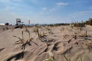 Παραλία Καλόγριας - "Κολυμπάμε και απολαμβάνουμε το νερό με ασφάλεια"