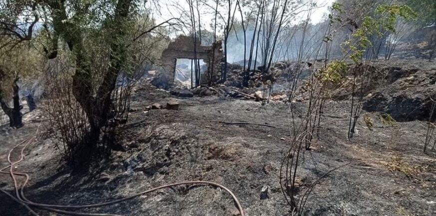 Αχαΐα: Ασταμάτητη η φωτιά στην Ανω Ζήρια - Ηρθαν ενισχύσεις από τη Θεσσαλονίκη - Τραυματίες και αποκαΐδια ΝΕΕΣ ΦΩΤΟ