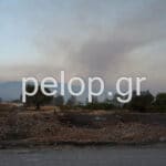 Αιγιάλεια: Το pelop.gr στα καμένα από τη φωτιά - Οι πληγές της επόμενης μέρας ΦΩΤΟΓΡΑΦΙΕΣ