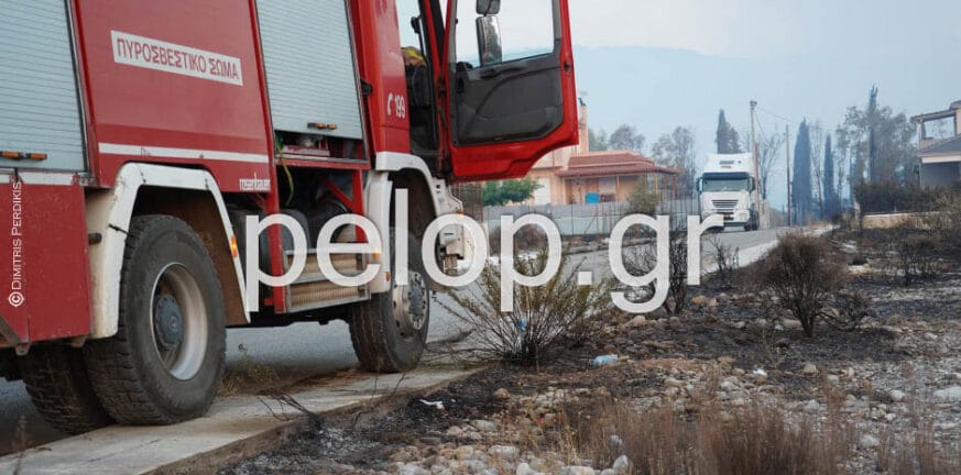 Αιγιάλεια-ΒΙΝΤΕΟ: Οι προσπάθειες των πυροσβεστών μέσα στις φλόγες στο μέτωπο της Ζήριας