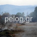 Αιγιάλεια: Το pelop.gr στα καμένα από τη φωτιά - Οι πληγές της επόμενης μέρας ΦΩΤΟΓΡΑΦΙΕΣ