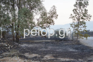 Αιγιάλεια – Φωτιά στην Ανω Ζήρια: Κάηκαν 3.000 στρέμματα ΦΩΤΟ ΑΠΟ ΔΟΡΥΦΟΦΟ