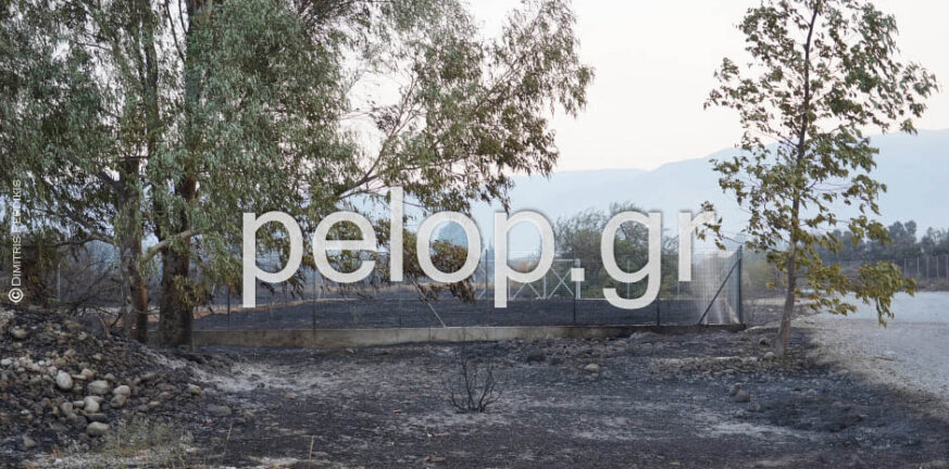 Αιγιάλεια – Φωτιά στην Ανω Ζήρια: Κάηκαν 3.000 στρέμματα ΦΩΤΟ ΑΠΟ ΔΟΡΥΦΟΦΟ
